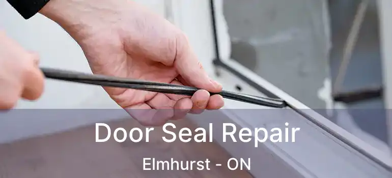  Door Seal Repair Elmhurst - ON