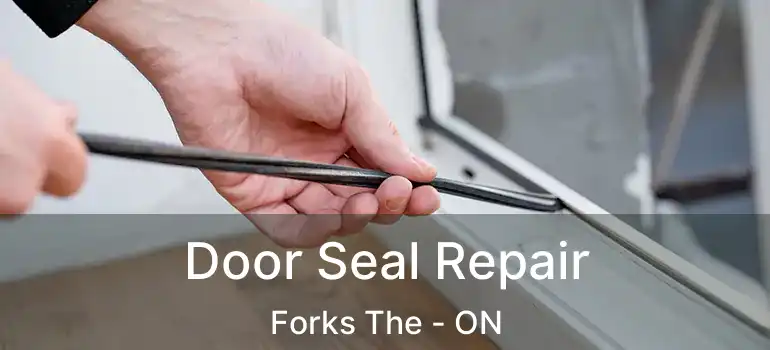  Door Seal Repair Forks The - ON