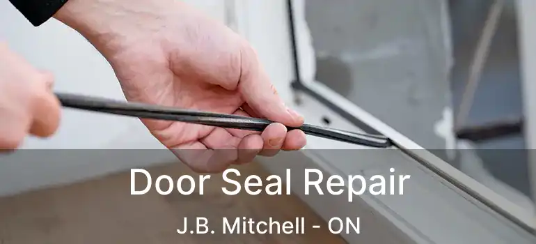  Door Seal Repair J.B. Mitchell - ON