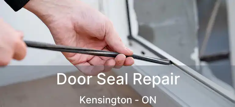  Door Seal Repair Kensington - ON