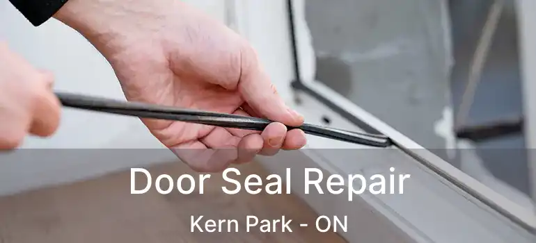  Door Seal Repair Kern Park - ON