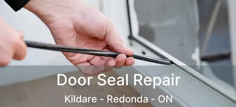 Door Seal Repair Kildare - Redonda - ON