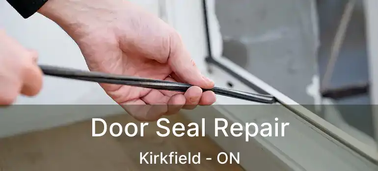  Door Seal Repair Kirkfield - ON
