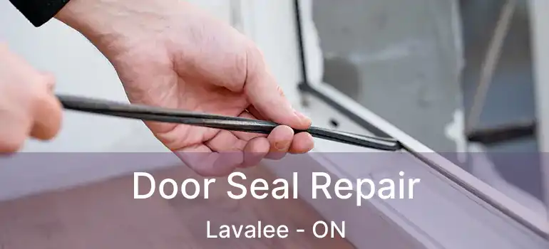  Door Seal Repair Lavalee - ON