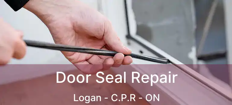  Door Seal Repair Logan - C.P.R - ON
