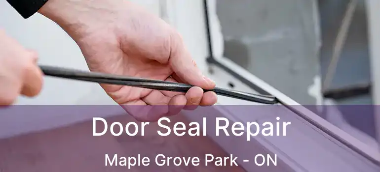  Door Seal Repair Maple Grove Park - ON