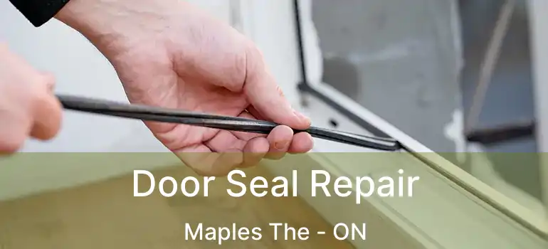  Door Seal Repair Maples The - ON