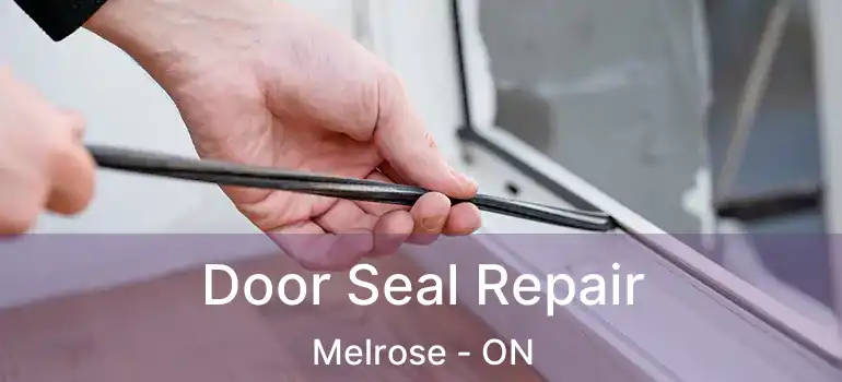  Door Seal Repair Melrose - ON