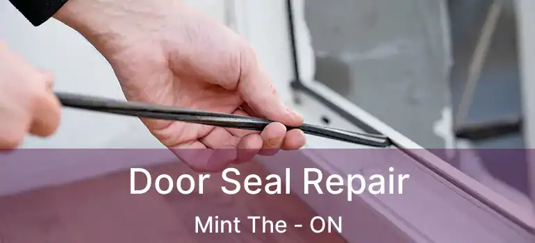  Door Seal Repair Mint The - ON