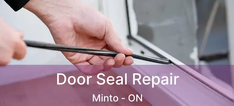  Door Seal Repair Minto - ON