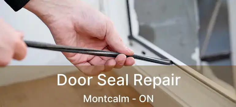  Door Seal Repair Montcalm - ON