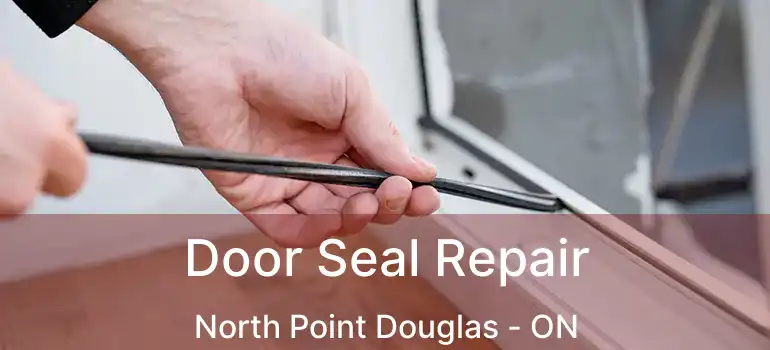  Door Seal Repair North Point Douglas - ON