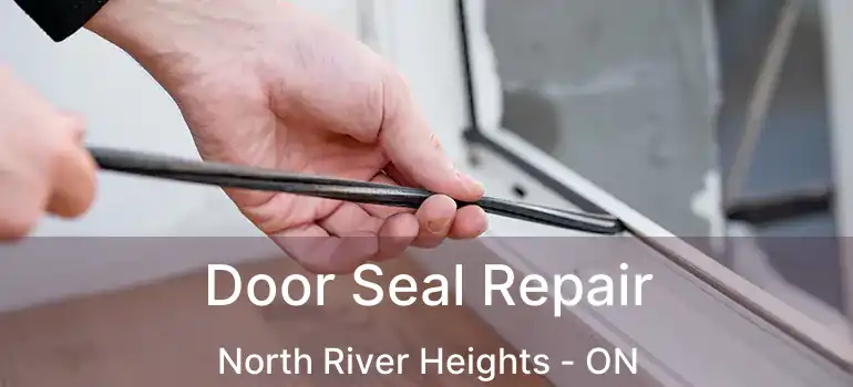  Door Seal Repair North River Heights - ON