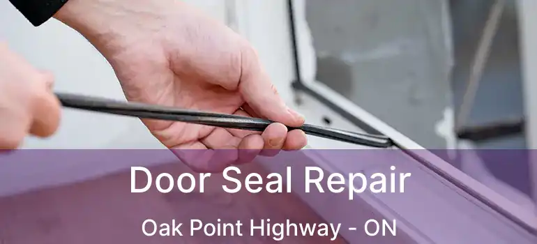  Door Seal Repair Oak Point Highway - ON
