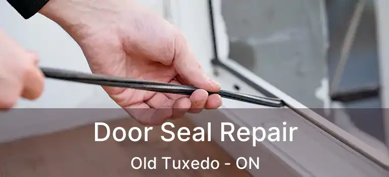  Door Seal Repair Old Tuxedo - ON