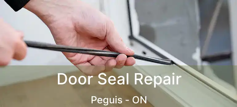  Door Seal Repair Peguis - ON