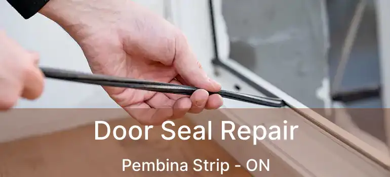  Door Seal Repair Pembina Strip - ON
