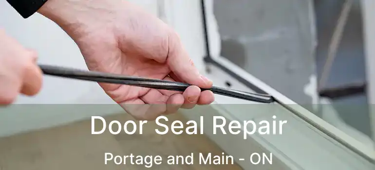  Door Seal Repair Portage and Main - ON