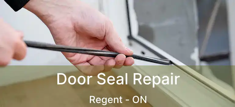  Door Seal Repair Regent - ON