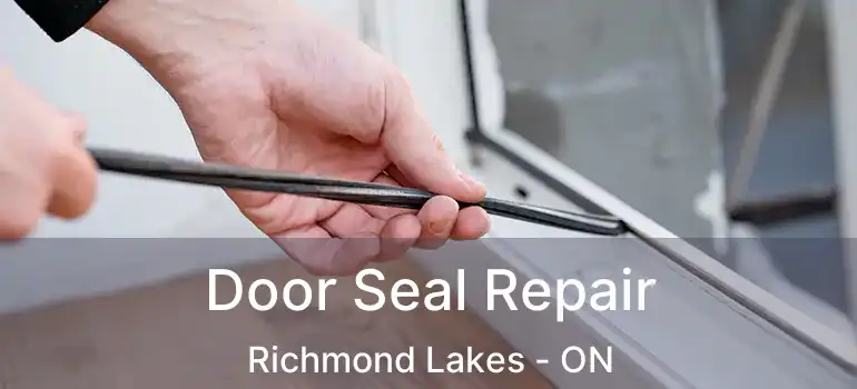  Door Seal Repair Richmond Lakes - ON