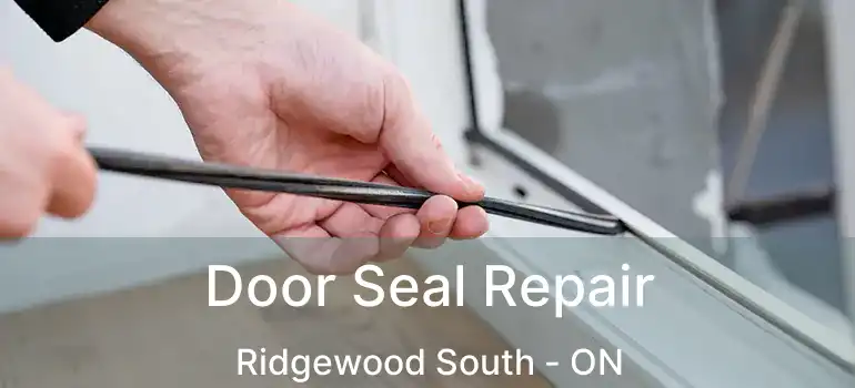  Door Seal Repair Ridgewood South - ON