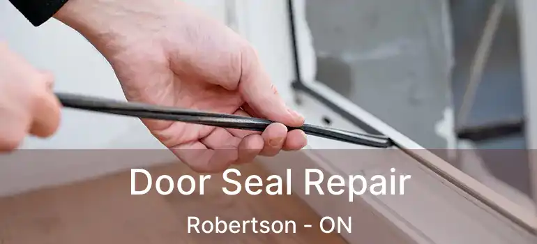  Door Seal Repair Robertson - ON