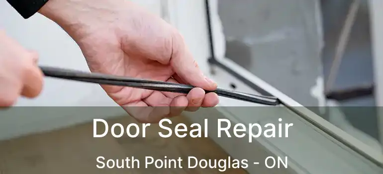  Door Seal Repair South Point Douglas - ON