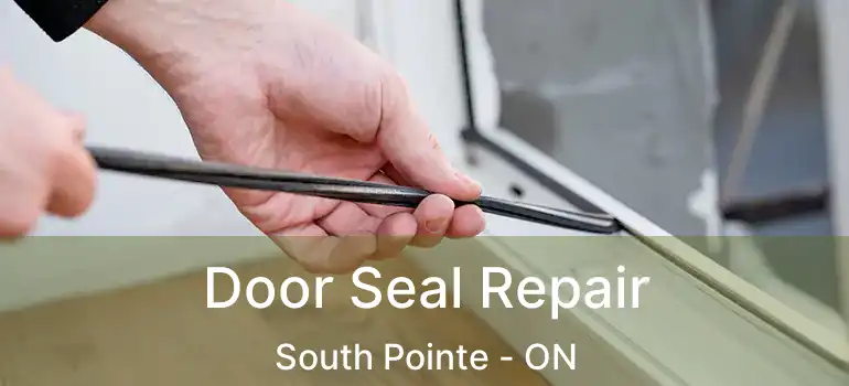  Door Seal Repair South Pointe - ON