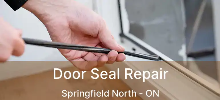  Door Seal Repair Springfield North - ON