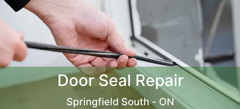  Door Seal Repair Springfield South - ON