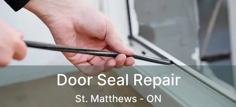  Door Seal Repair St. Matthews - ON