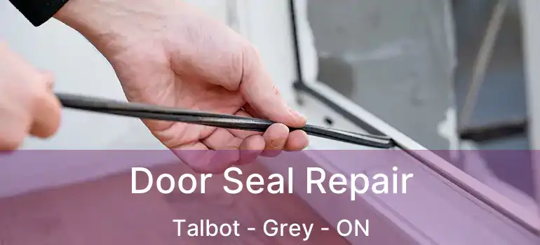  Door Seal Repair Talbot - Grey - ON