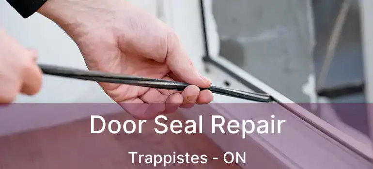 Door Seal Repair Trappistes - ON