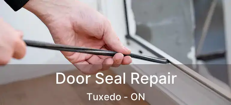  Door Seal Repair Tuxedo - ON