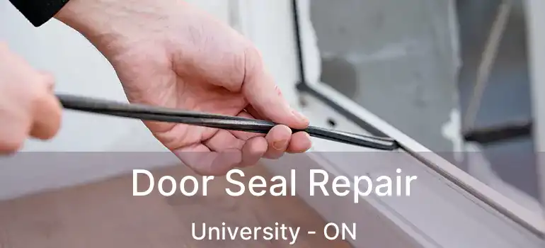  Door Seal Repair University - ON