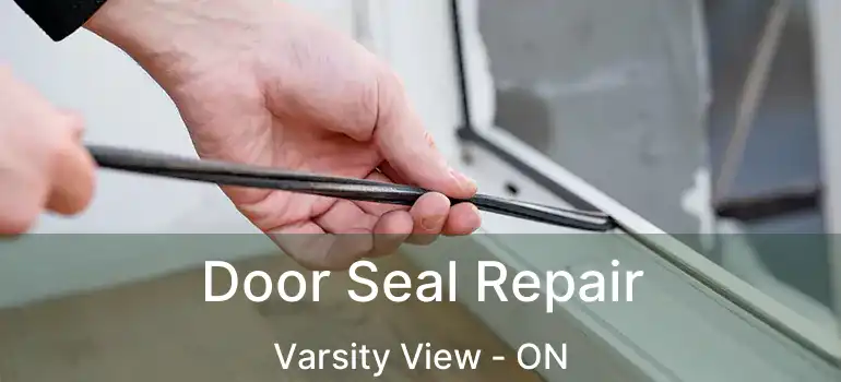  Door Seal Repair Varsity View - ON
