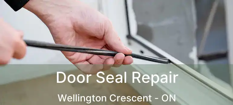  Door Seal Repair Wellington Crescent - ON