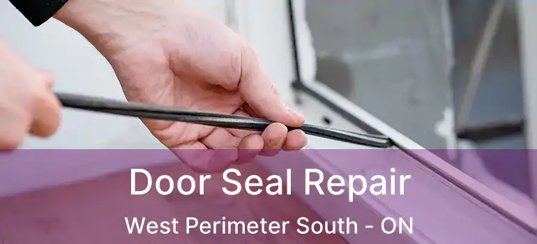  Door Seal Repair West Perimeter South - ON