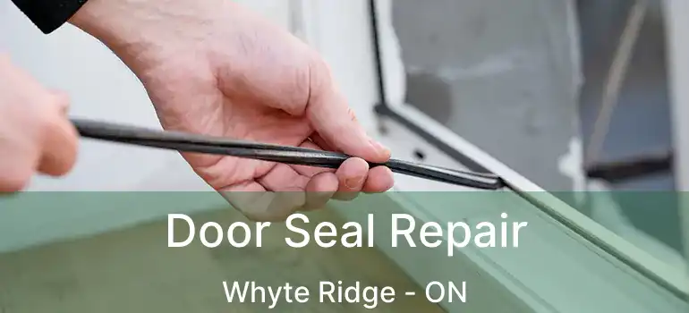  Door Seal Repair Whyte Ridge - ON