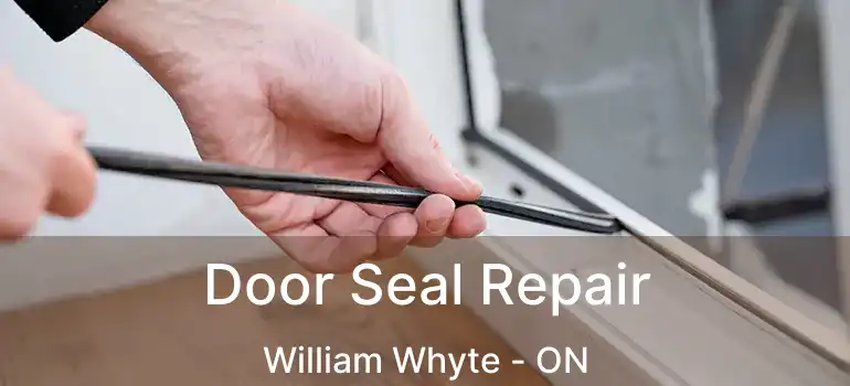  Door Seal Repair William Whyte - ON