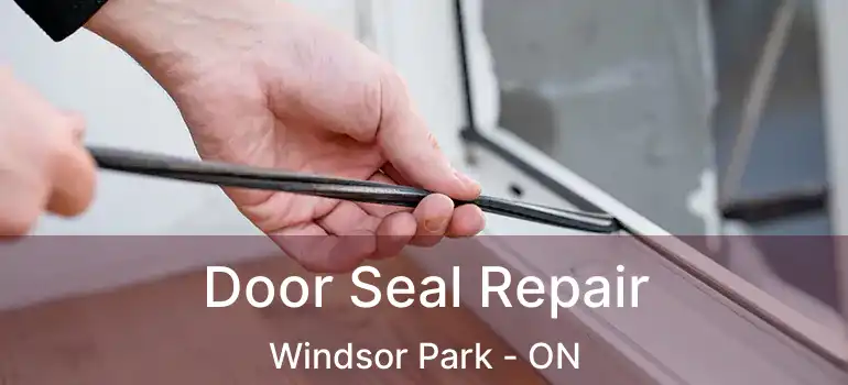  Door Seal Repair Windsor Park - ON