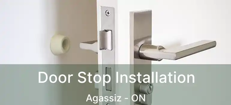  Door Stop Installation Agassiz - ON