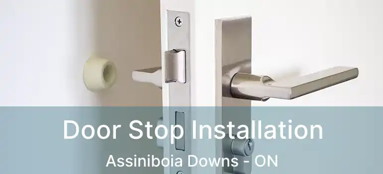  Door Stop Installation Assiniboia Downs - ON