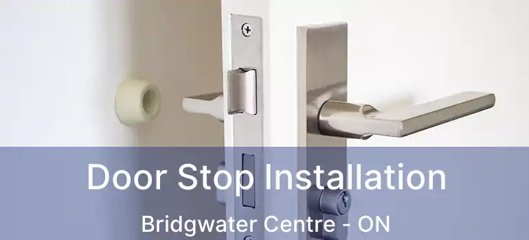  Door Stop Installation Bridgwater Centre - ON