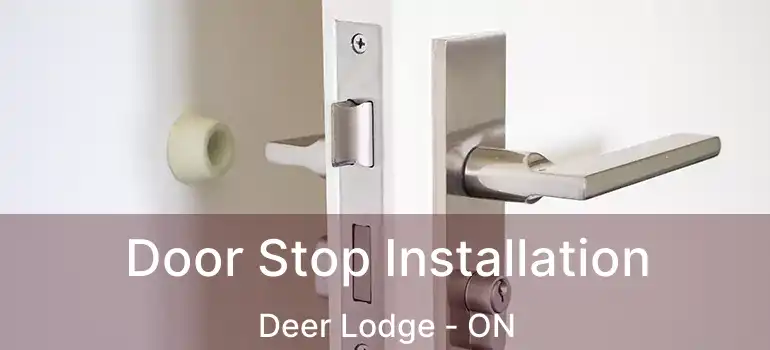  Door Stop Installation Deer Lodge - ON