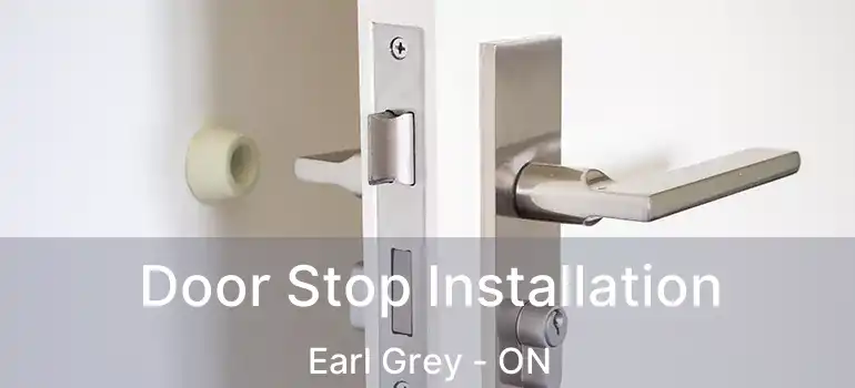  Door Stop Installation Earl Grey - ON