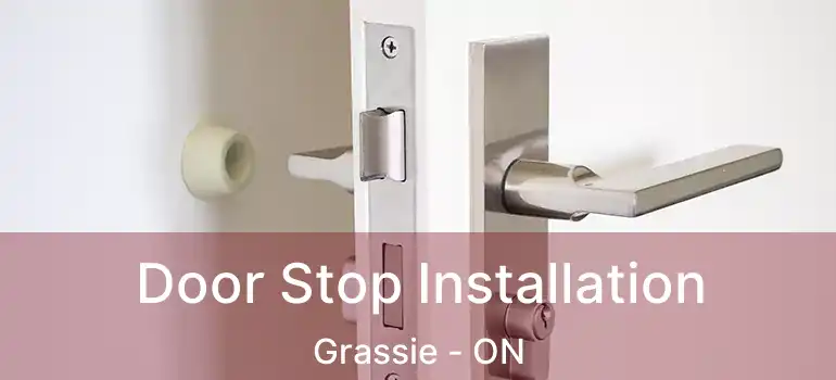  Door Stop Installation Grassie - ON
