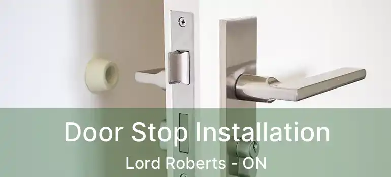  Door Stop Installation Lord Roberts - ON