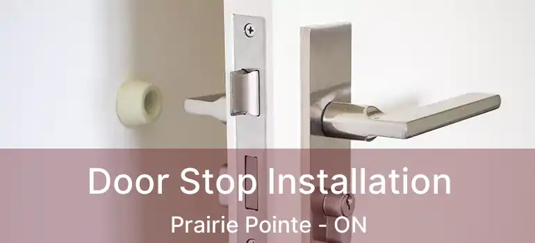  Door Stop Installation Prairie Pointe - ON