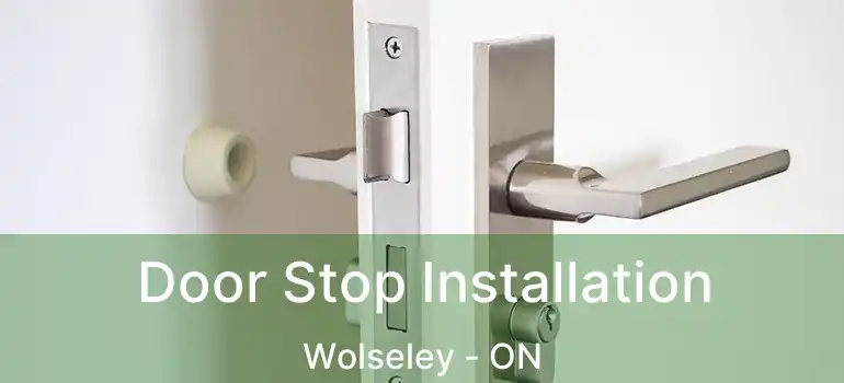  Door Stop Installation Wolseley - ON